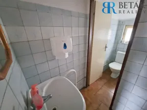Prodej rodinného domu, Troubky, U Dvora II., 300 m2