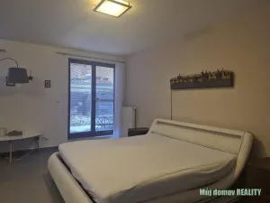 Pronájem bytu 1+kk, Brno - Zábrdovice, Francouzská, 60 m2