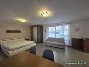 Pronájem bytu 1+kk, Brno - Zábrdovice, Francouzská, 60 m2