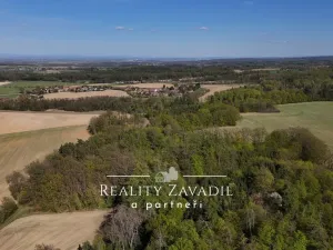 Prodej pozemku pro bydlení, Bukovina u Přelouče, 900 m2