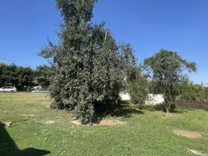 Prodej pozemku pro bydlení, Týnec nad Sázavou - Podělusy, 813 m2