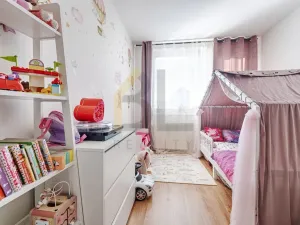 Prodej bytu 3+1, Hodonín, Javorová, 69 m2