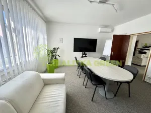 Pronájem komerční nemovitosti, Zlín, Ševcovská, 110 m2