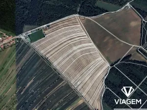 Prodej pole, Dolní Bojanovice, 1115 m2