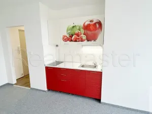 Pronájem bytu 1+1, Most, Javorová, 33 m2