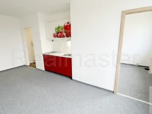 Pronájem bytu 1+1, Most, Javorová, 33 m2