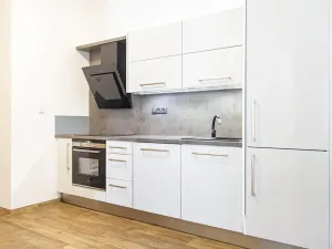 Pronájem bytu 3+kk, Ostrava, Horní, 89 m2