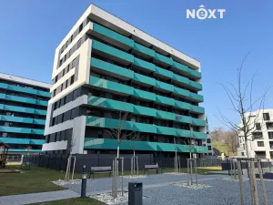 Prodej bytu 2+kk, Praha - Žižkov, Olgy Havlové, 54 m2