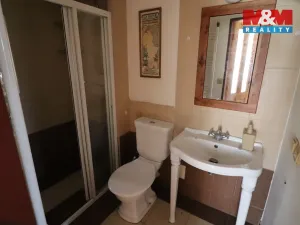 Prodej chalupy, Žalany - Černčice, 240 m2