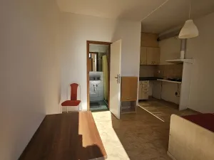 Pronájem bytu 1+kk, Milovice, 17 m2
