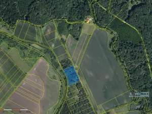 Prodej lesa, Břeclav - Charvátská Nová Ves, 3405 m2