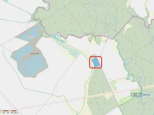 Prodej lesa, Břeclav - Charvátská Nová Ves, 3405 m2