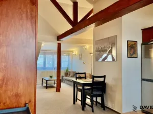 Pronájem bytu 1+kk, Brno - Veveří, Gorkého, 61 m2