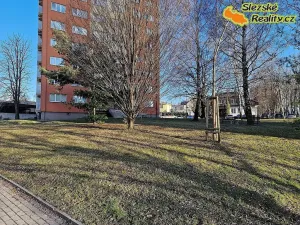 Pronájem bytu 2+1, Ostrava, Václavská, 49 m2