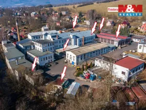Pronájem výrobních prostor, Jílové - Modrá, 330 m2