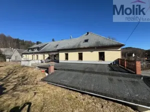 Prodej ubytování, Český Jiřetín, 1753 m2