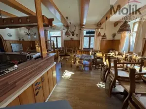 Prodej ubytování, Český Jiřetín, 1753 m2