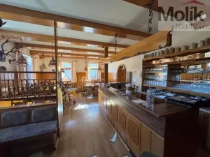 Prodej ubytování, Český Jiřetín, 1753 m2