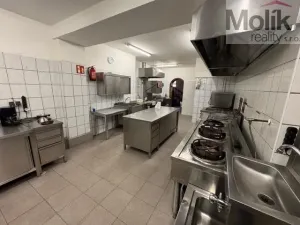 Prodej ubytování, Český Jiřetín, 1753 m2