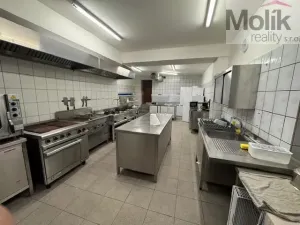 Prodej ubytování, Český Jiřetín, 1753 m2