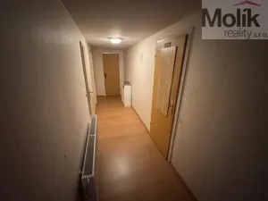 Prodej ubytování, Český Jiřetín, 1753 m2