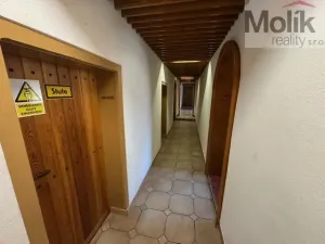 Prodej ubytování, Český Jiřetín, 1753 m2