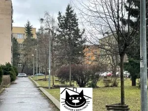 Pronájem bytu 2+1, Praha - Strašnice, Krupská, 57 m2