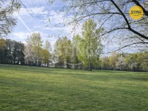 Prodej pozemku pro bydlení, Horní Planá, 5895 m2