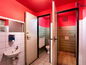 Pronájem skladu, Praha - Řepy, 60 m2