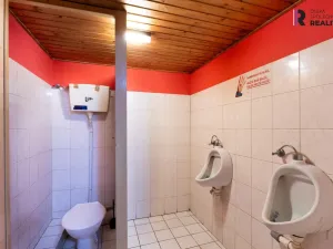 Pronájem skladu, Praha - Řepy, 60 m2