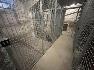 Pronájem bytu 2+kk, Praha - Bubeneč, dr. Zikmunda Wintra, 56 m2