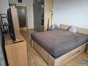 Pronájem bytu 1+kk, Brno, U Leskavy, 47 m2