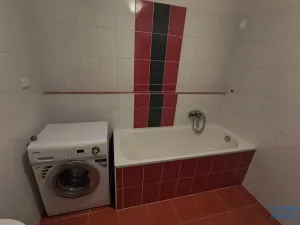 Pronájem bytu 1+kk, Brno, U Leskavy, 47 m2