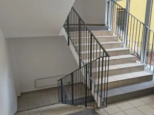 Pronájem bytu 1+kk, Brno, U Leskavy, 47 m2