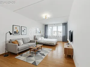 Prodej bytu 1+kk, Strakonice - Strakonice II, Na Ohradě, 31 m2