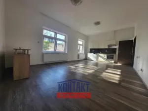 Pronájem bytu 1+kk, České Budějovice - České Budějovice 3, 48 m2