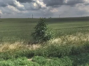 Prodej komerčního pozemku, Tuřany, 28748 m2