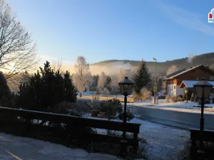 Prodej ubytování, Železná Ruda - Alžbětín, 1746 m2