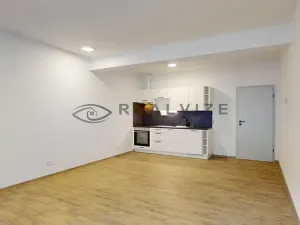 Pronájem bytu 1+kk, České Budějovice, Puklicova, 38 m2