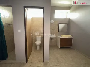 Pronájem obchodního prostoru, Dubňany, Horní huť, 450 m2