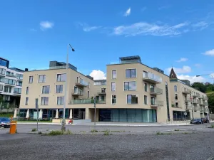 Pronájem bytu 1+kk, Praha - Smíchov, Kobrova, 50 m2