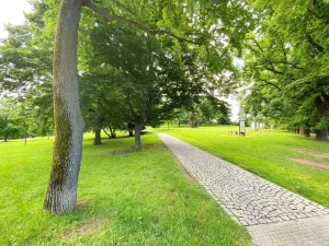 Pronájem bytu 1+kk, Praha - Smíchov, Kobrova, 50 m2