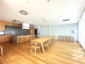 Pronájem bytu 1+kk, Praha - Smíchov, Kobrova, 50 m2