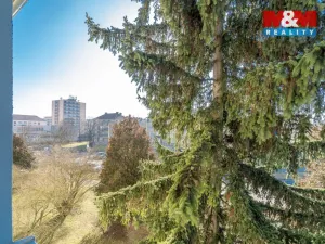 Prodej bytu 1+1, Kladno - Kročehlavy, U výtopny, 35 m2