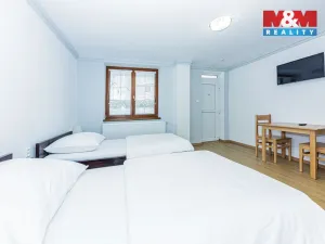 Pronájem bytu 1+kk, Čáslav - Čáslav-Nové Město, Pražská, 27 m2