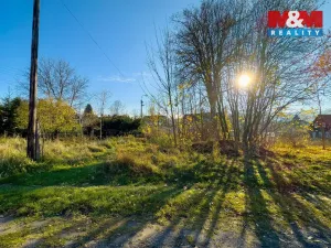 Prodej pozemku pro bydlení, Chřibská - Horní Chřibská, 8319 m2