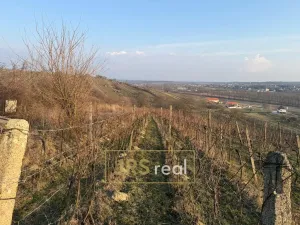 Prodej pozemku, Mutěnice, 2669 m2