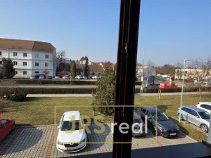 Pronájem kanceláře, Hustopeče, 34 m2