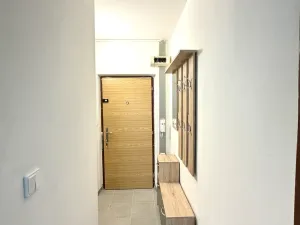 Pronájem bytu 1+1, Staré Sedliště, 42 m2
