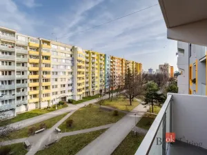Prodej bytu 1+1, České Budějovice - České Budějovice 2, Vodňanská, 43 m2